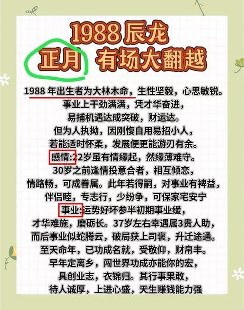 屬龍的人適合做工地工作嗎