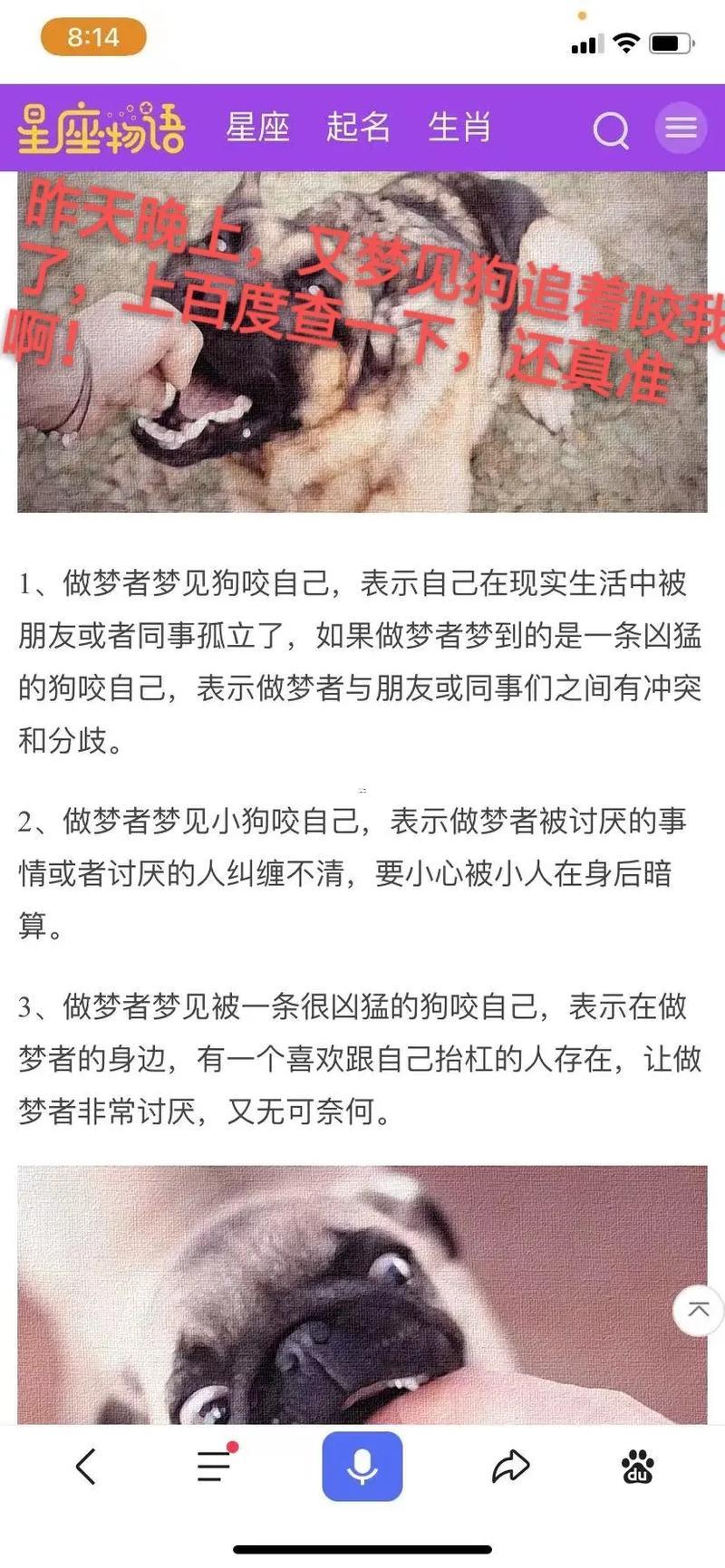 夢(mèng)見狗咬狗