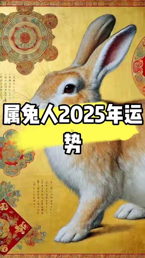 生肖屬兔2025年10月手術最吉利的日子有哪些