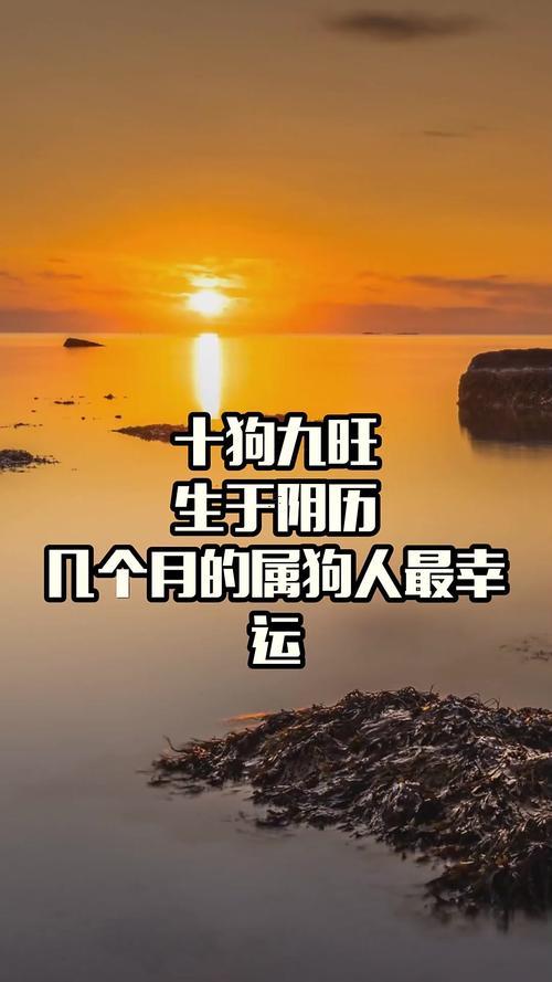 生肖屬狗2025年10月上香最吉利的日子有哪些