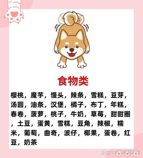 母狗狗的名字