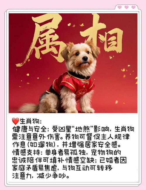 生肖屬狗2025年10月掛牌黃道吉日一覽表