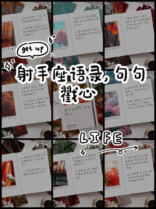 適合射手座的網(wǎng)名